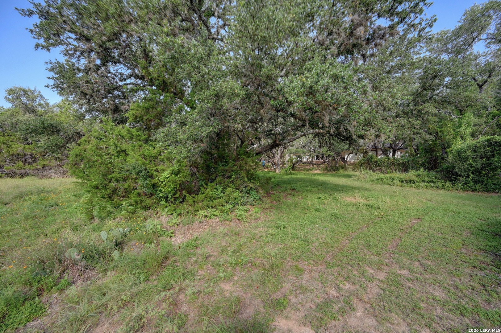 7810 Covey Roost Boerne TX 78015
