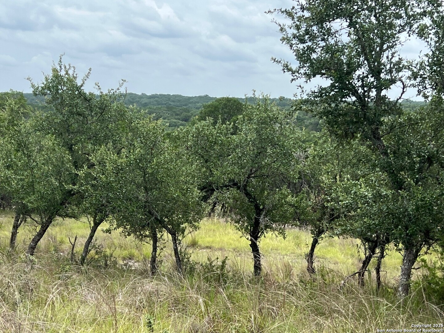 Lot 19 Monterey Boerne TX 78006