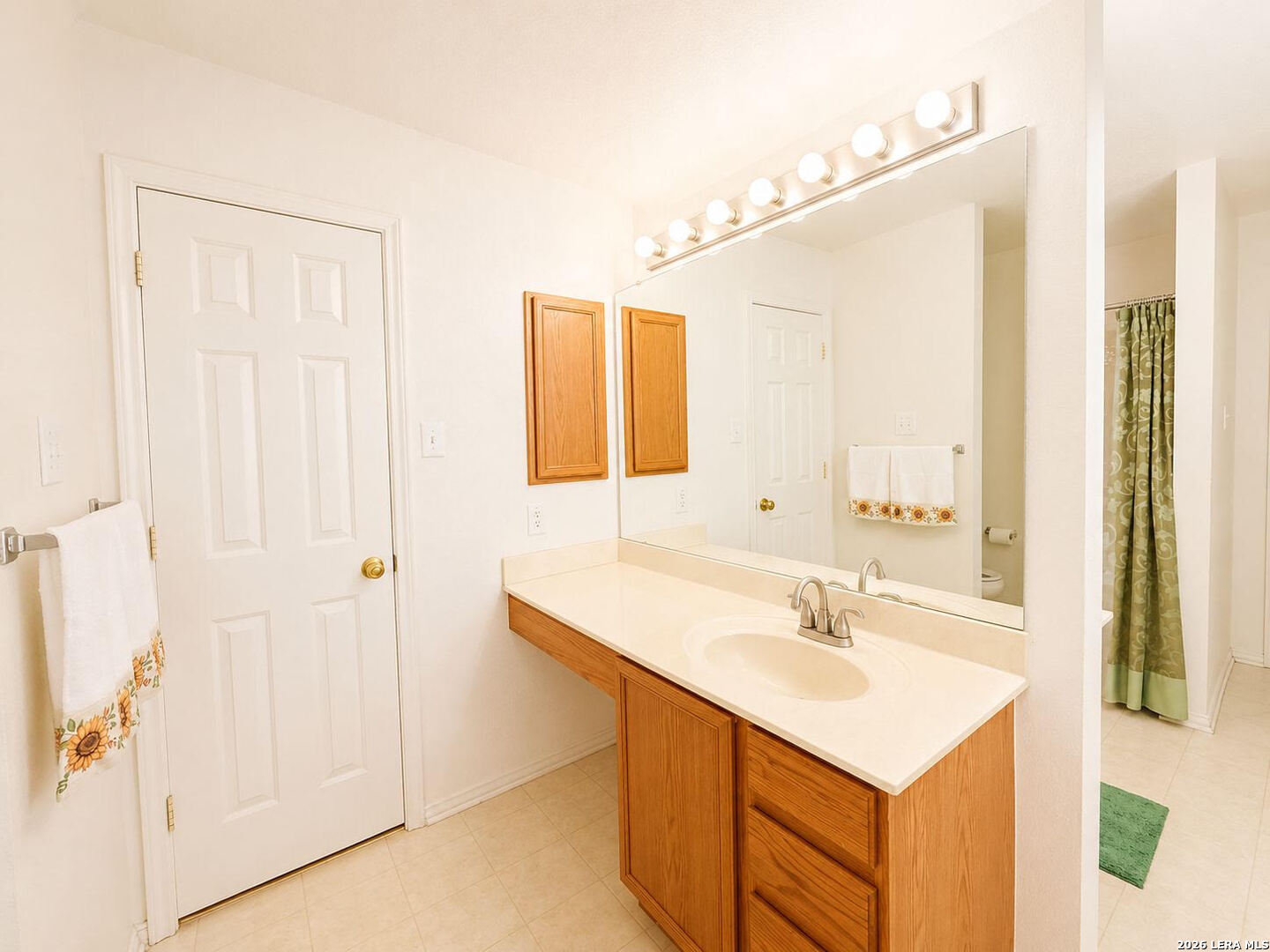 133 Springtree Parkway Cibolo TX 78108