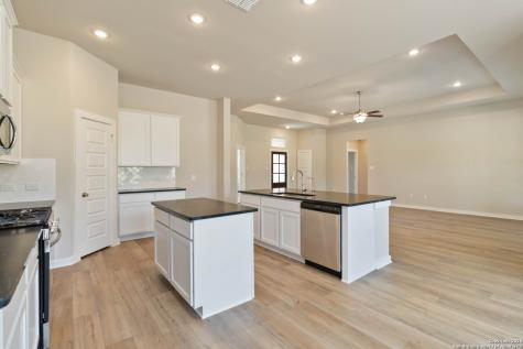 21225 Jordans Ranch Way San Antonio TX 78264