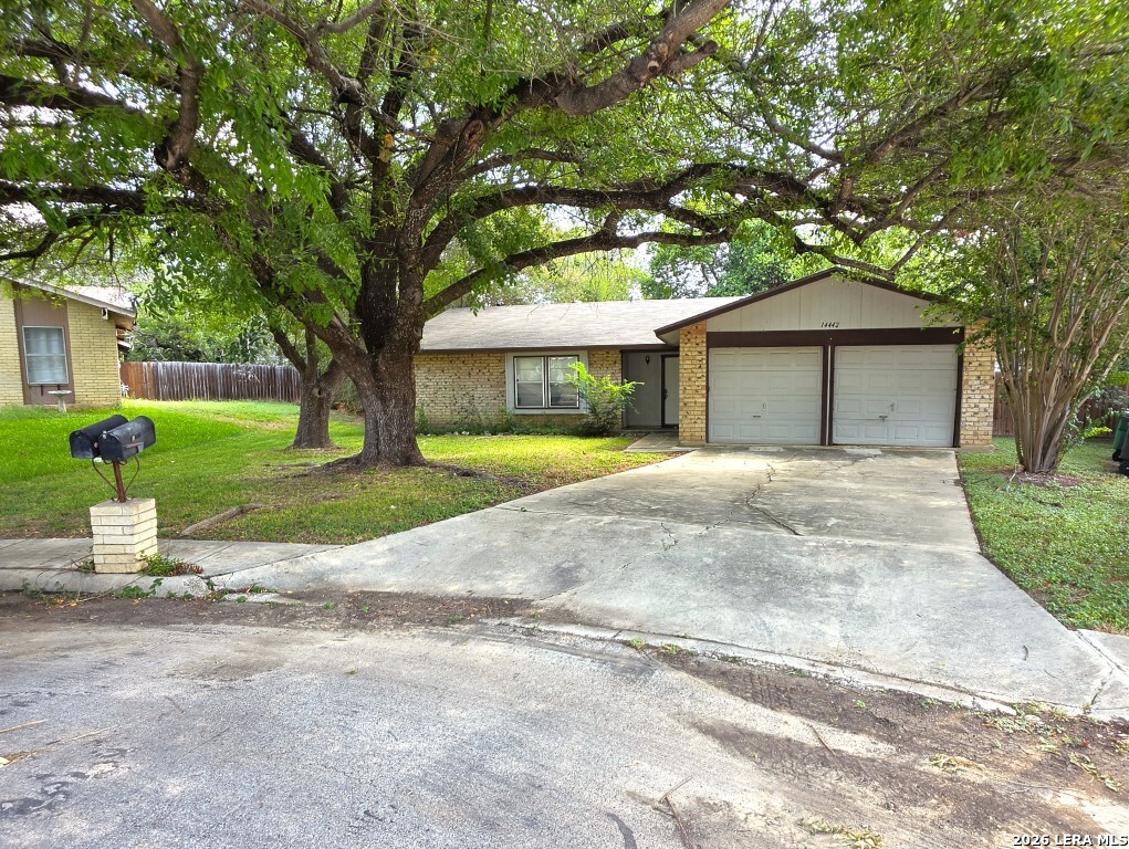 14442 Briarledge Street San Antonio TX 78247