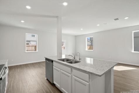 10302 Liberty Grove San Antonio TX 78224