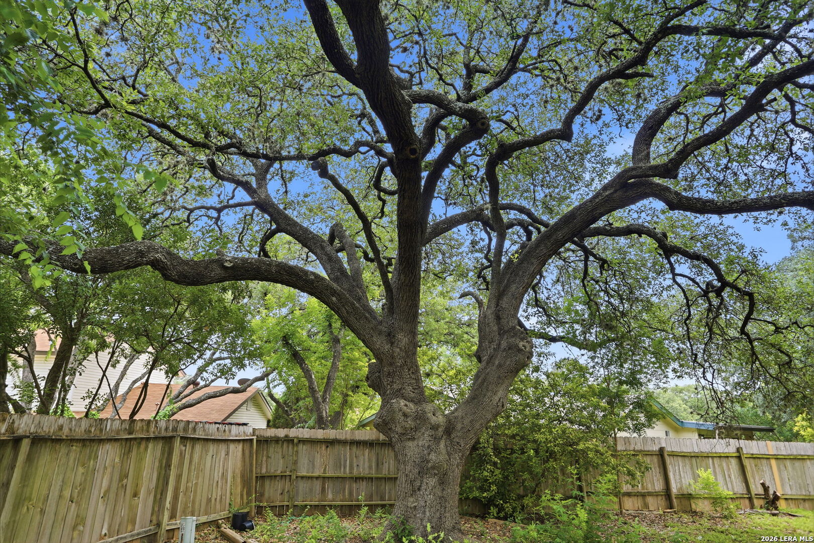 5615 Timberhurst San Antonio TX 78250