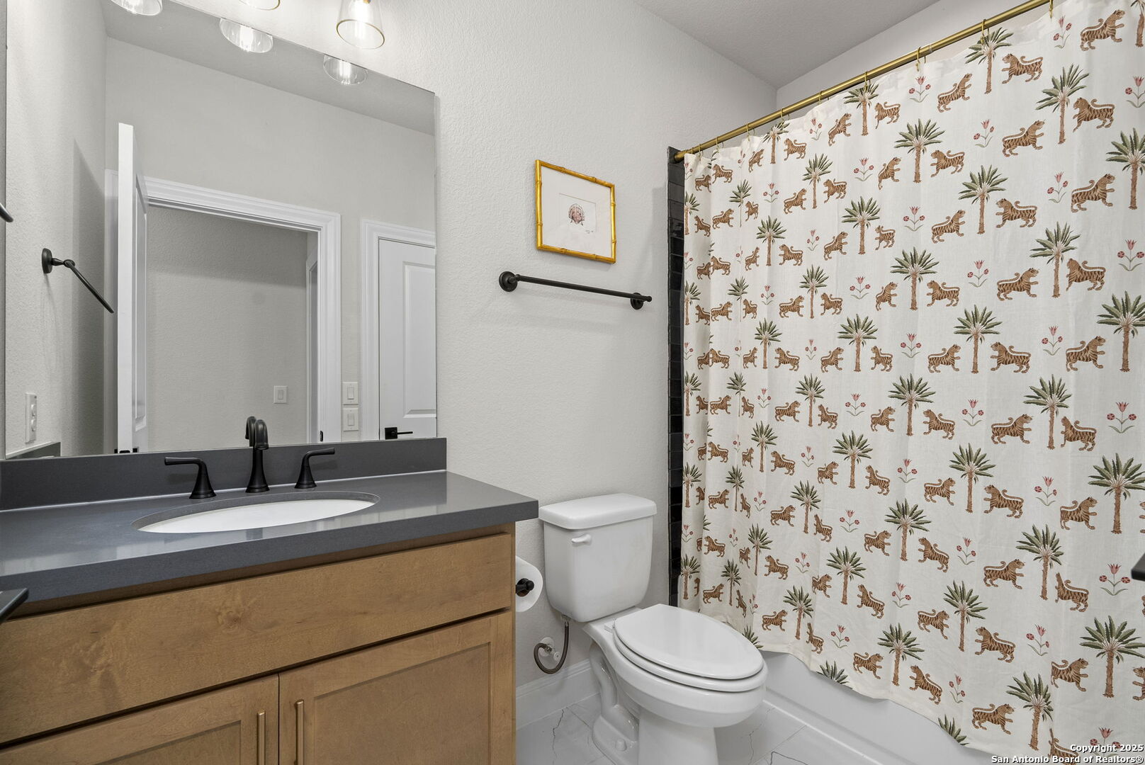 28403 Vario Lane San Antonio TX 78260