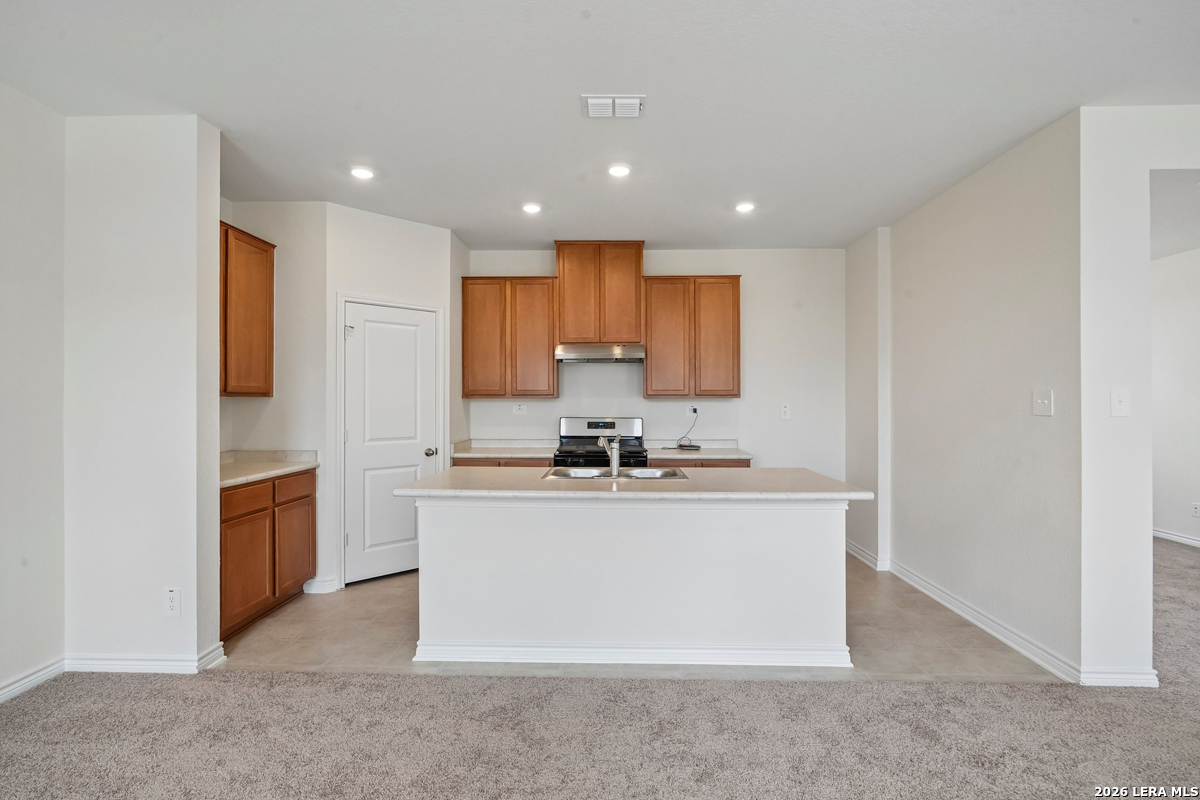 10049 Jagger Avenue Converse TX 78109