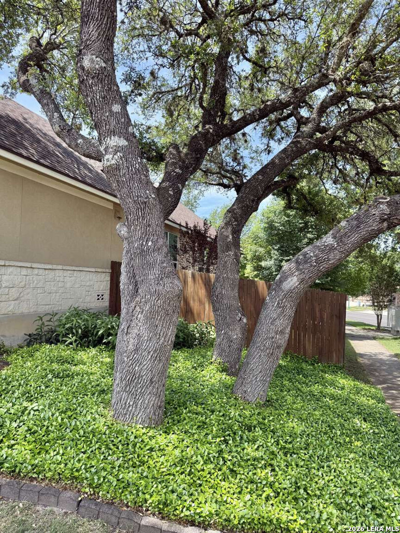 100 Rattlesnake Bluff Boerne TX 78006