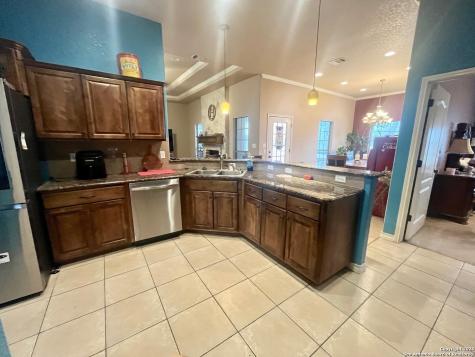 438 Rosewood Drive La Vernia TX 78121