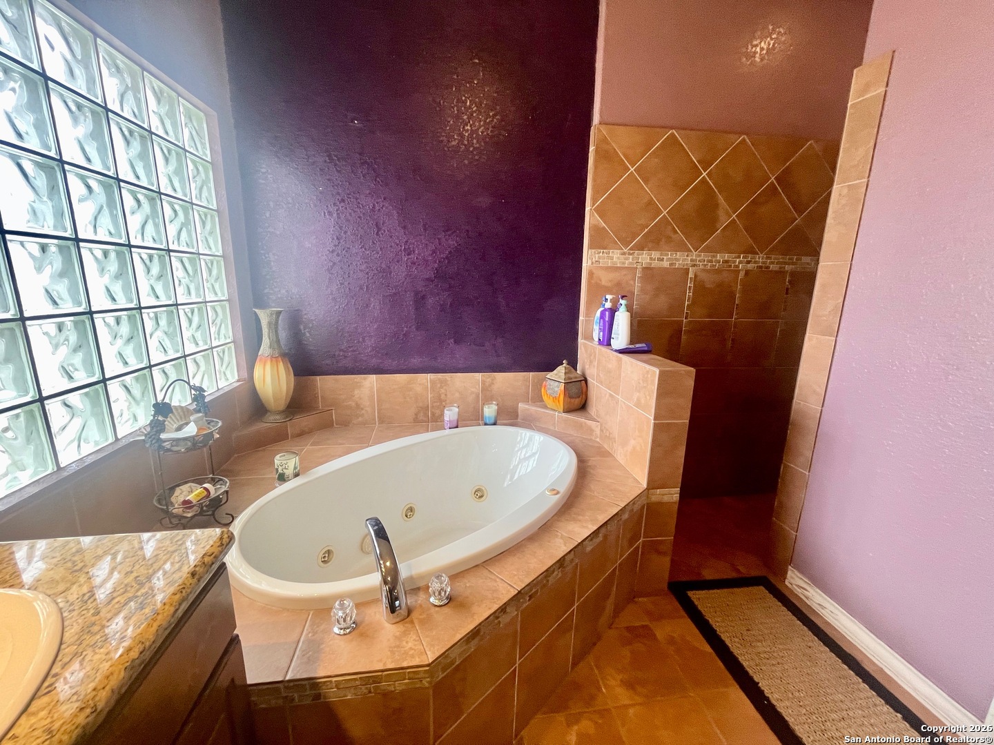 438 Rosewood Drive La Vernia TX 78121