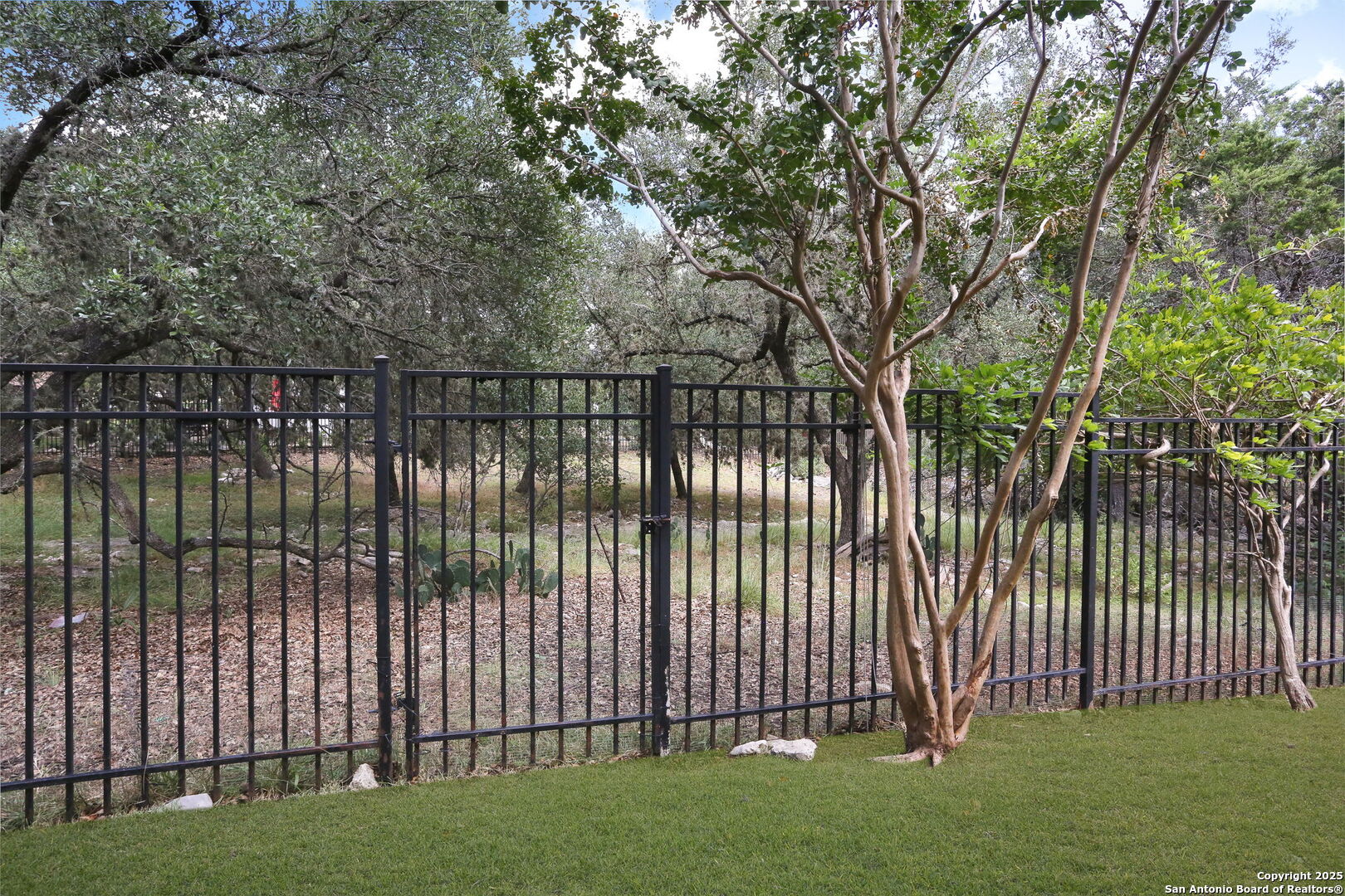 24630 Bogey Ridge San Antonio TX 78260