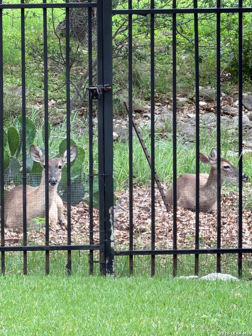24630 Bogey Ridge San Antonio TX 78260