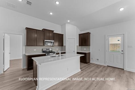 17516 Bigtooth Aspen Drive Elmendorf TX 78112