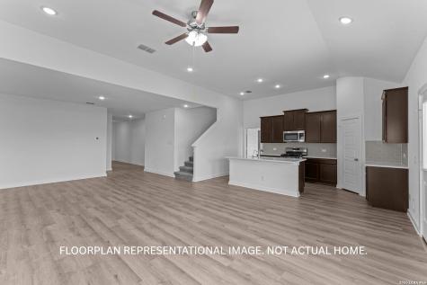 17516 Bigtooth Aspen Drive Elmendorf TX 78112