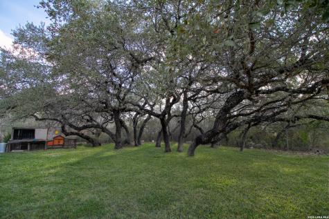 16472 N State Highway 16 Poteet TX 78065