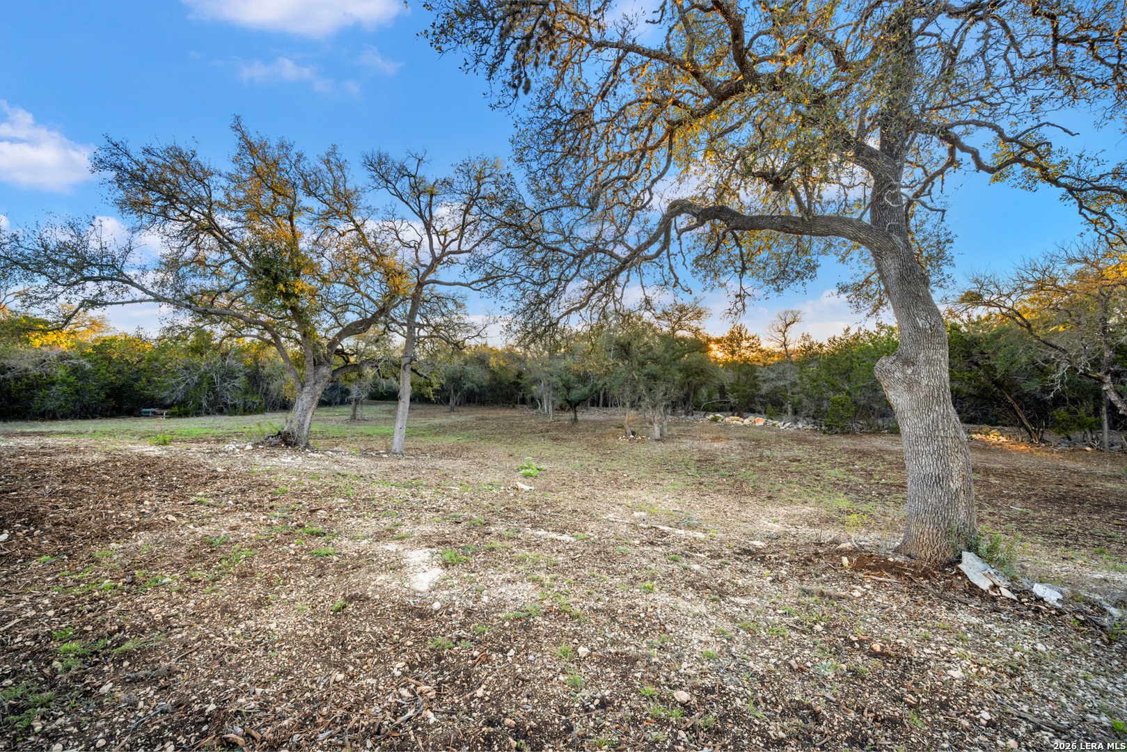 31952 Smithson Valley Road Bulverde TX 78163