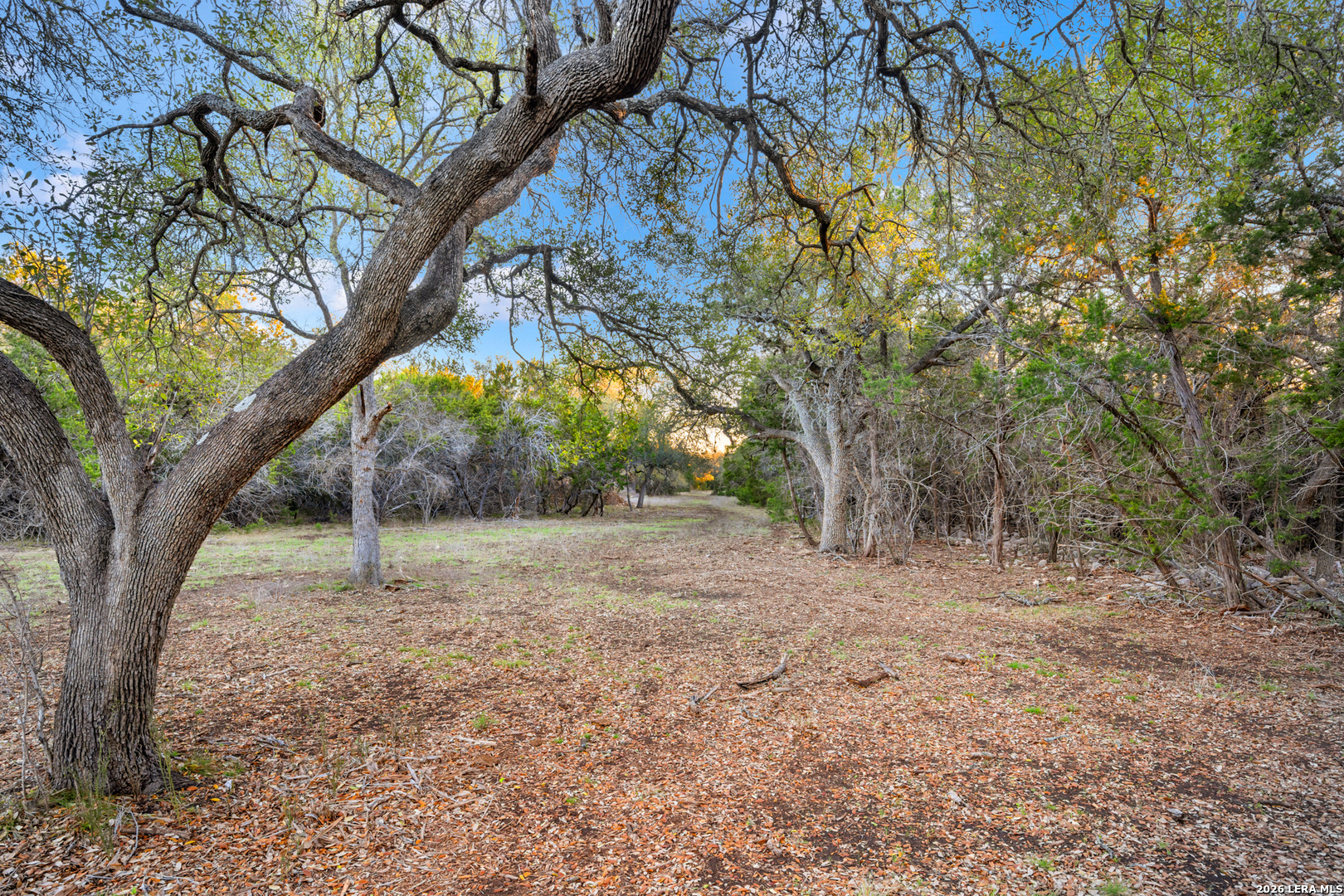 31952 Smithson Valley Road Bulverde TX 78163