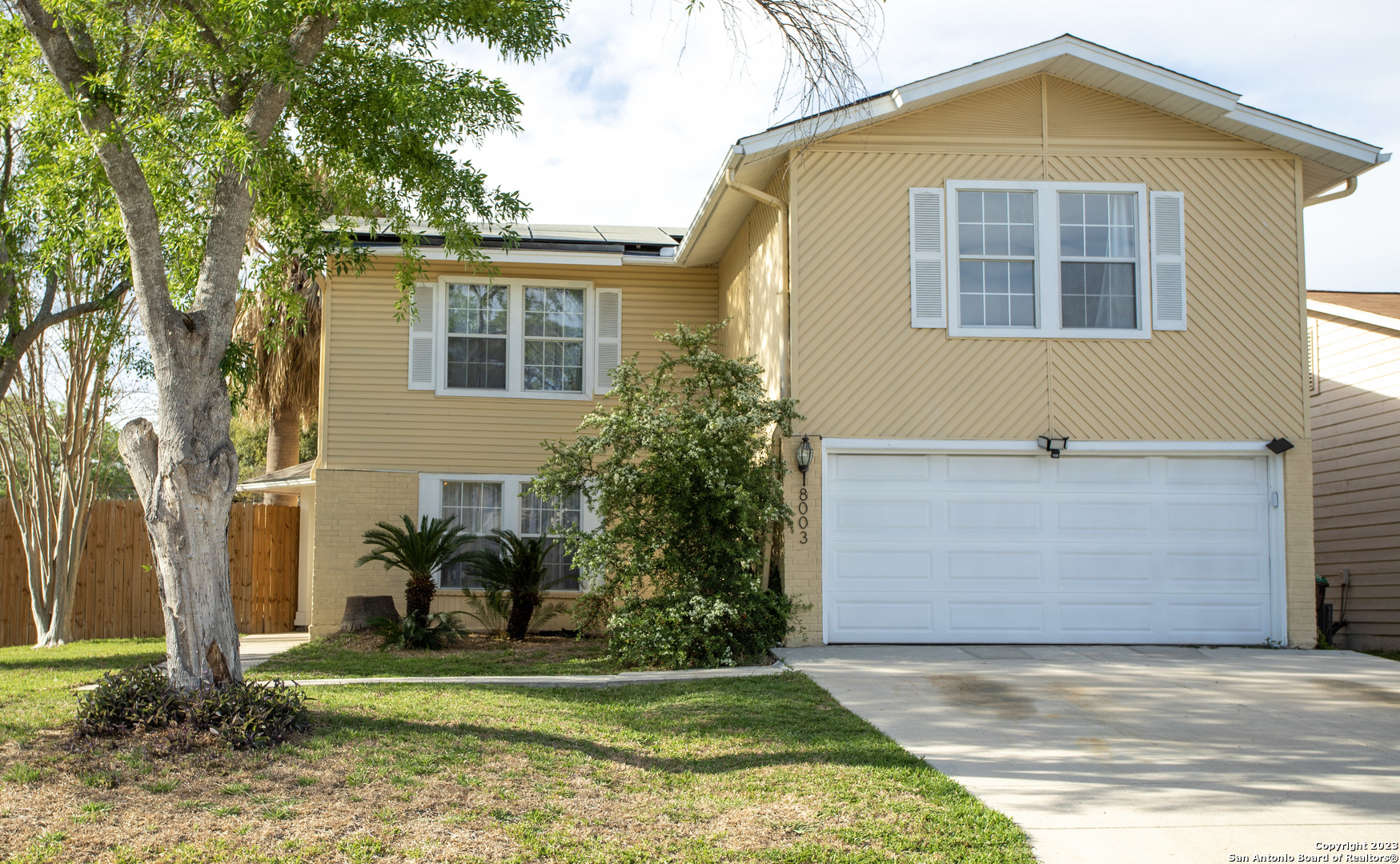 8003 Coral Trail San Antonio TX 78244