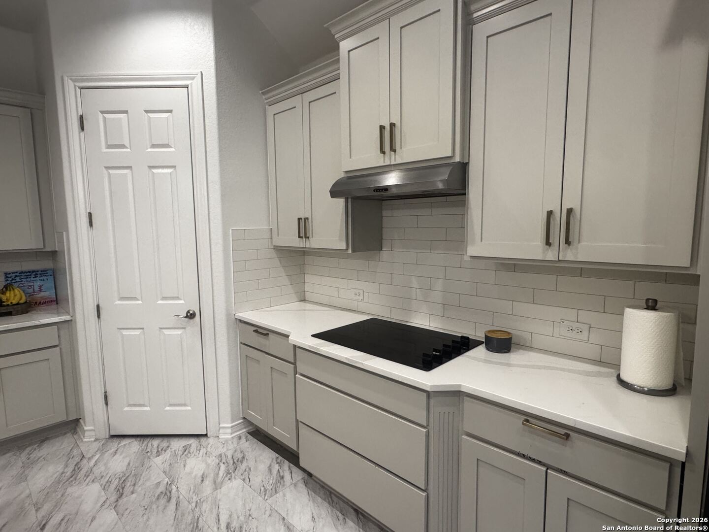 1603 Oak Willow San Antonio TX 78245