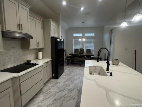 1603 Oak Willow San Antonio TX 78245