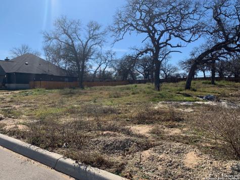 213 Ash Parkway La Vernia TX 78121