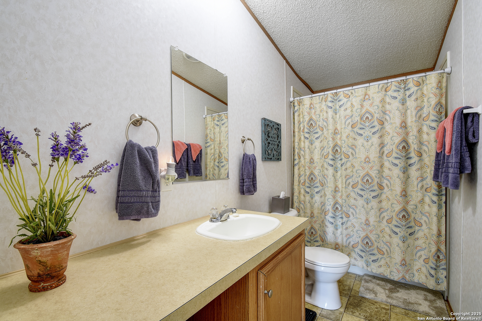 605 County Road 3821 San Antonio TX 78253