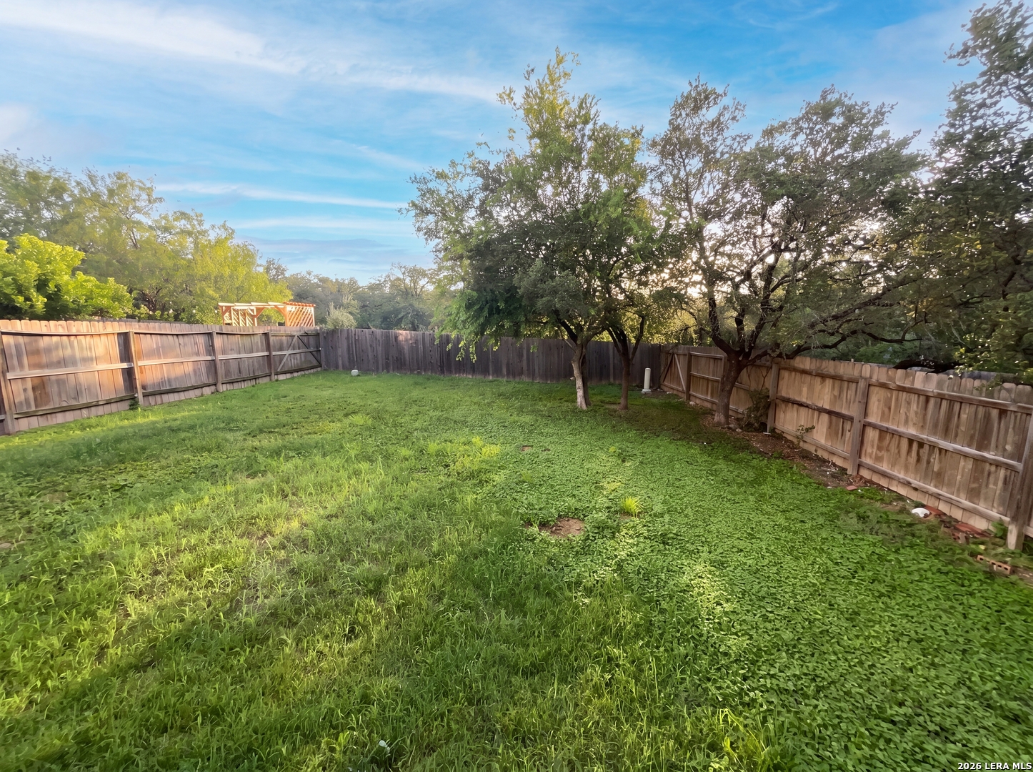 1423 Alaskan Wolf San Antonio TX 78245