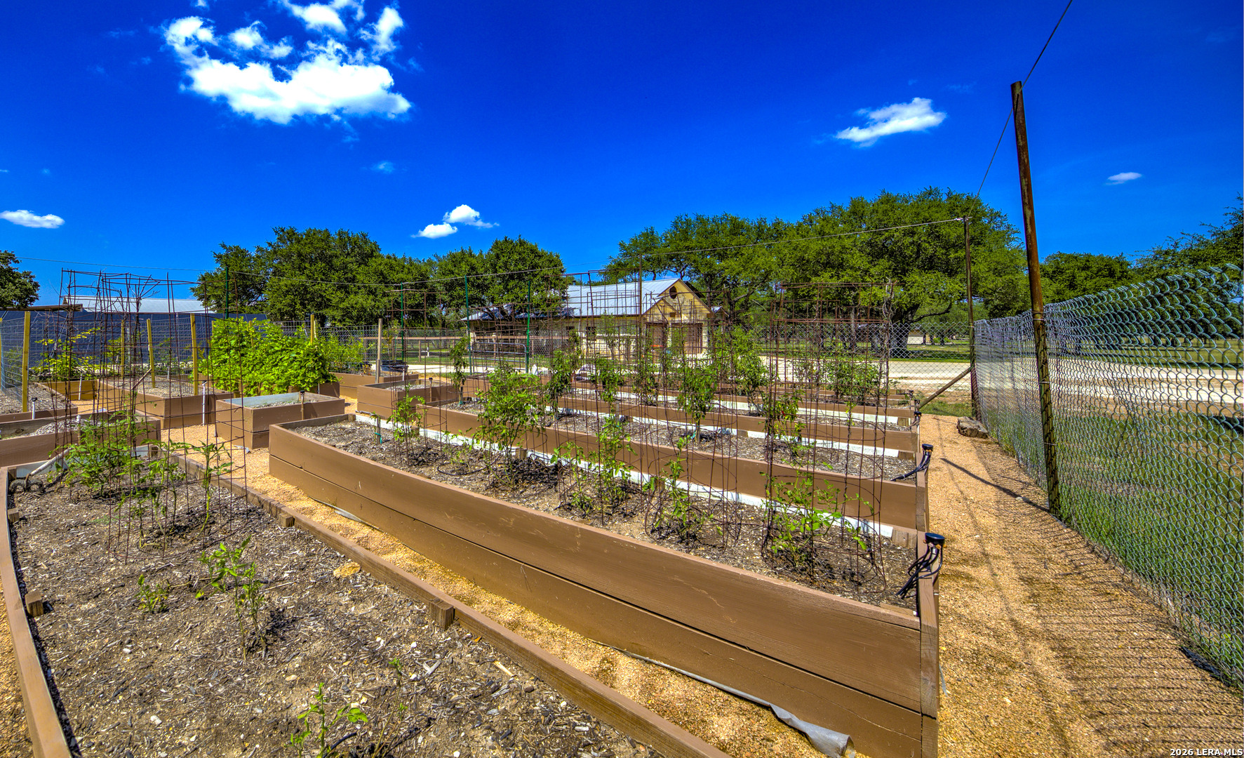 224 Rolling View Drive Boerne TX 78006