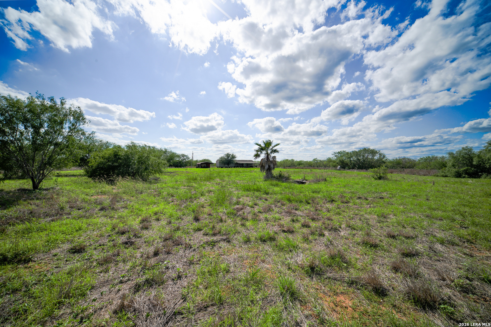 10069 County Road 263 Realitos TX 78376