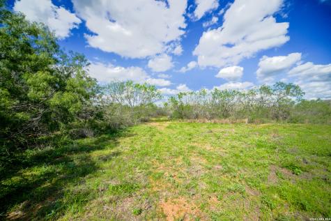 10069 County Road 263 Realitos TX 78376