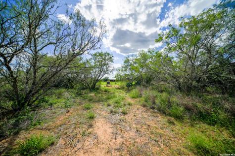 10069 County Road 263 Realitos TX 78376