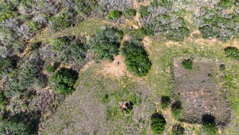 10069 County Road 263 Realitos TX 78376