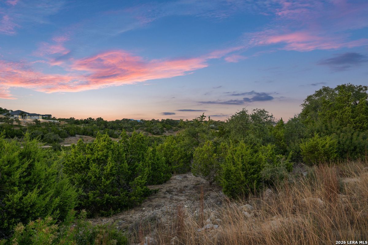10847 Nina Ridge San Antonio TX 78255
