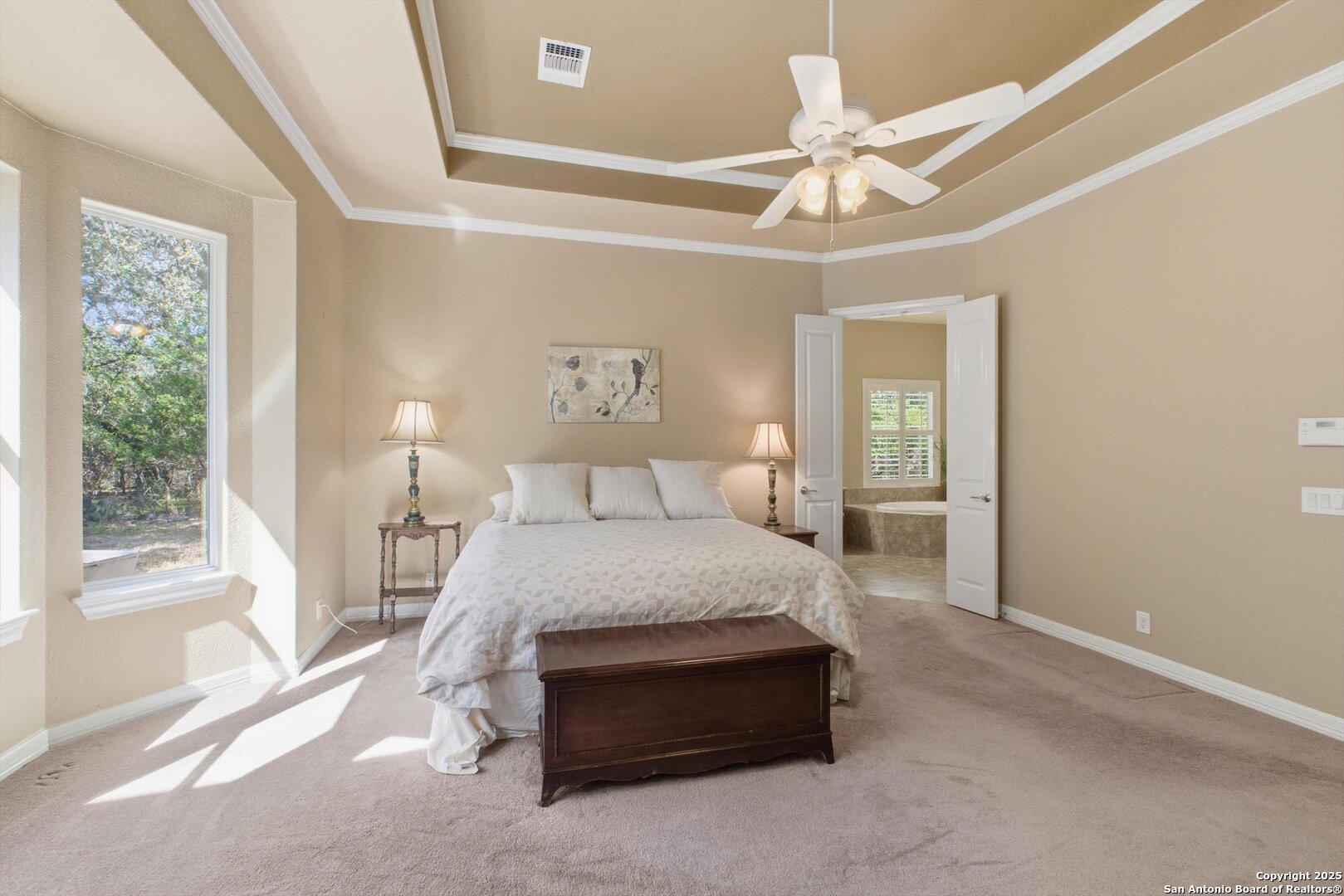 12715 Texas Thistle San Antonio TX 78253