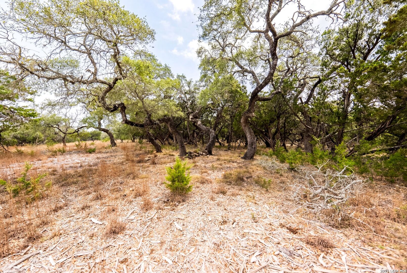Lot 28 Rio Cordillera Boerne TX 78006