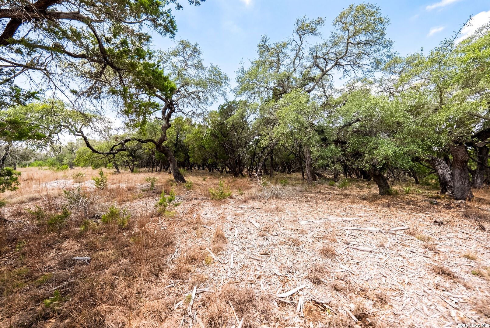 Lot 28 Rio Cordillera Boerne TX 78006