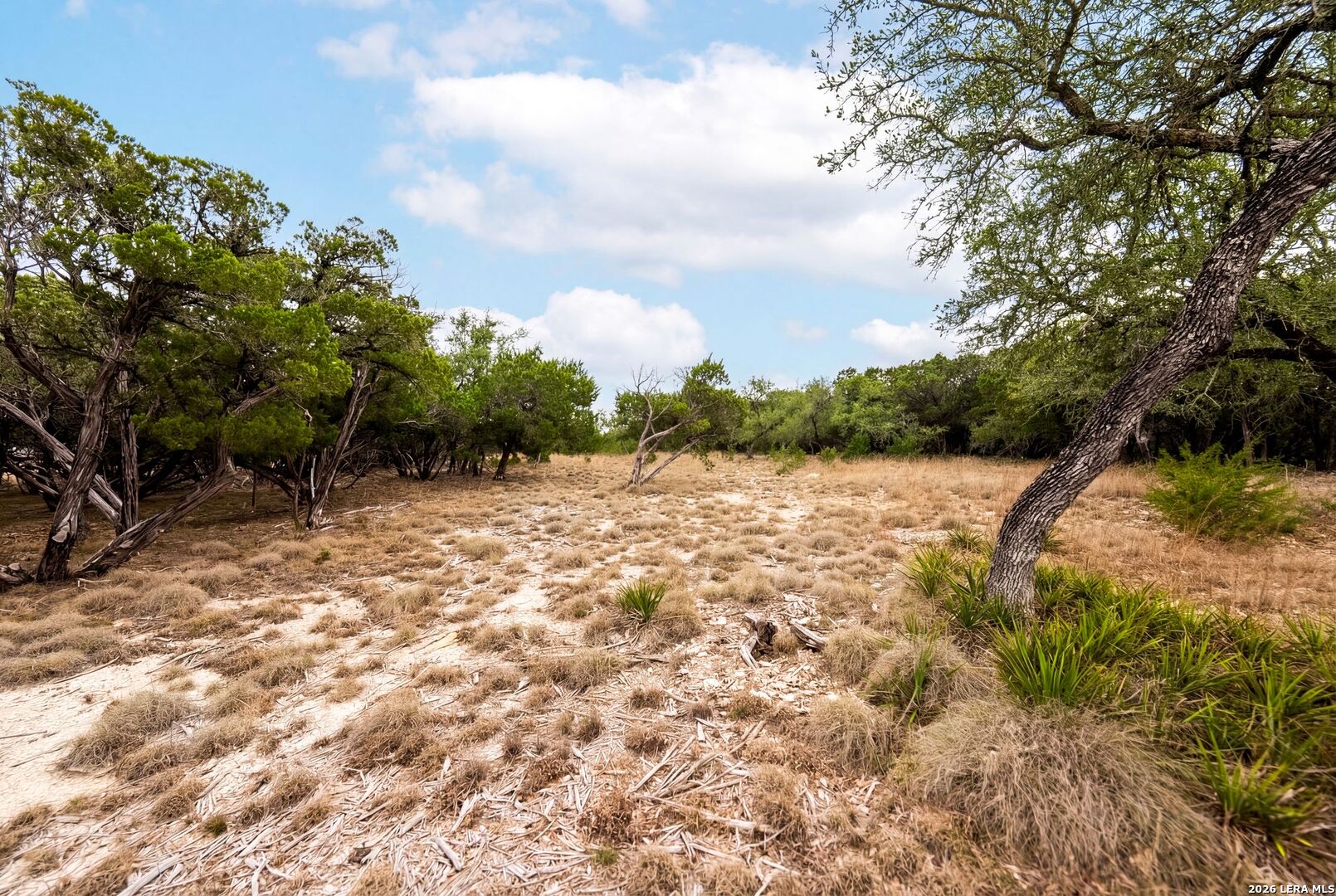 Lot 28 Rio Cordillera Boerne TX 78006