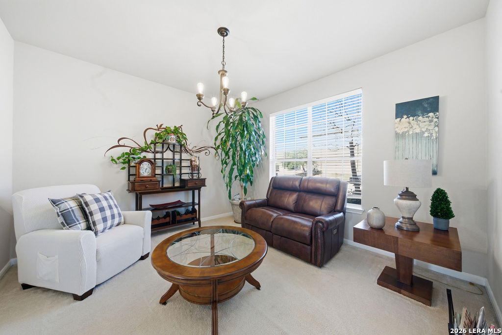 3622 Cotoneaster San Antonio TX 78261