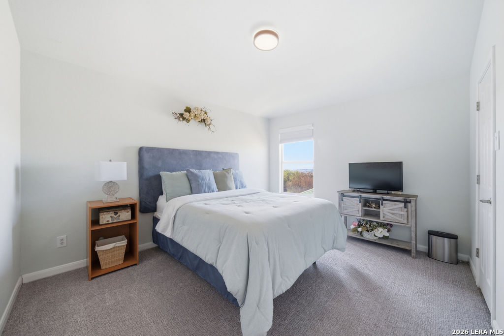 3622 Cotoneaster San Antonio TX 78261