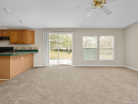 3938 Cannon Wood Elmendorf TX 78112