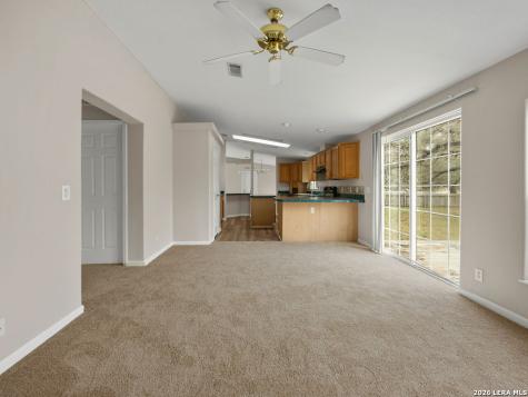 3938 Cannon Wood Elmendorf TX 78112