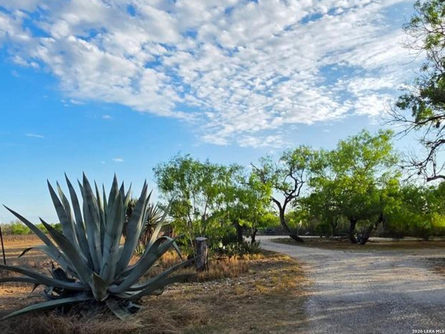 4029 County Road 117 Floresville TX 78114