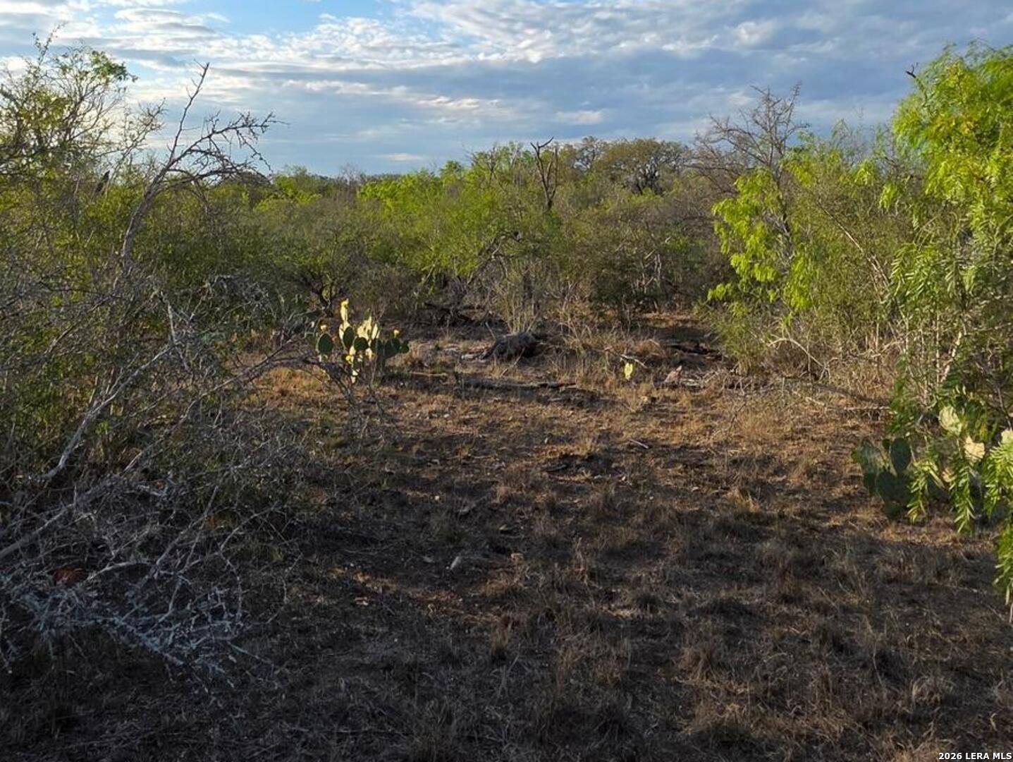 4029 County Road 117 Floresville TX 78114