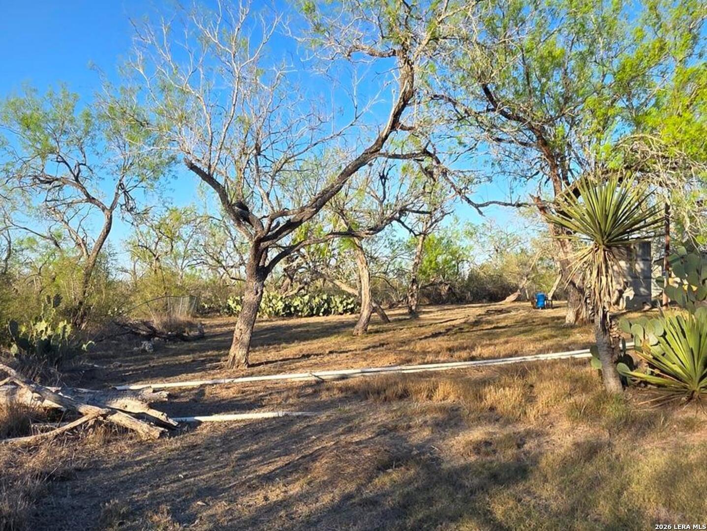 4029 County Road 117 Floresville TX 78114