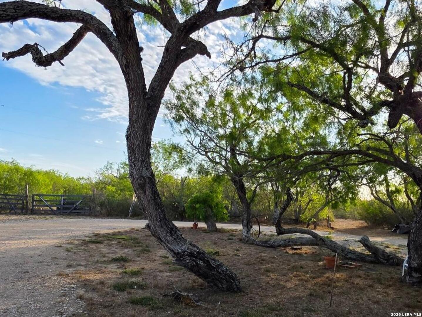 4029 County Road 117 Floresville TX 78114