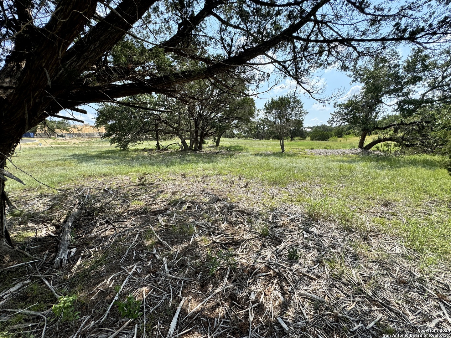 34707 Deeanne Valley Trail Bulverde TX 78163