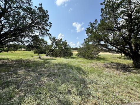 34707 Deeanne Valley Trail Bulverde TX 78163