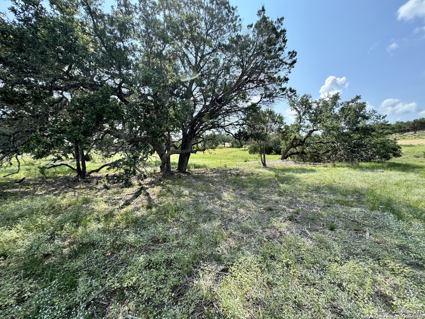 34707 Deeanne Valley Trail Bulverde TX 78163