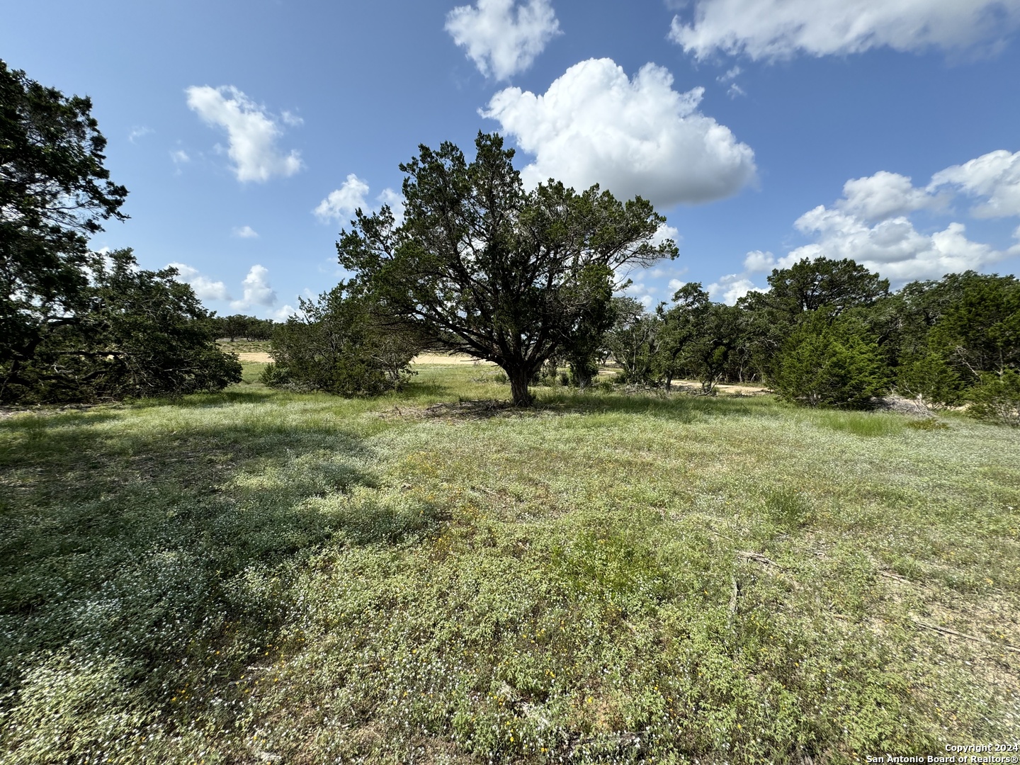 34707 Deeanne Valley Trail Bulverde TX 78163