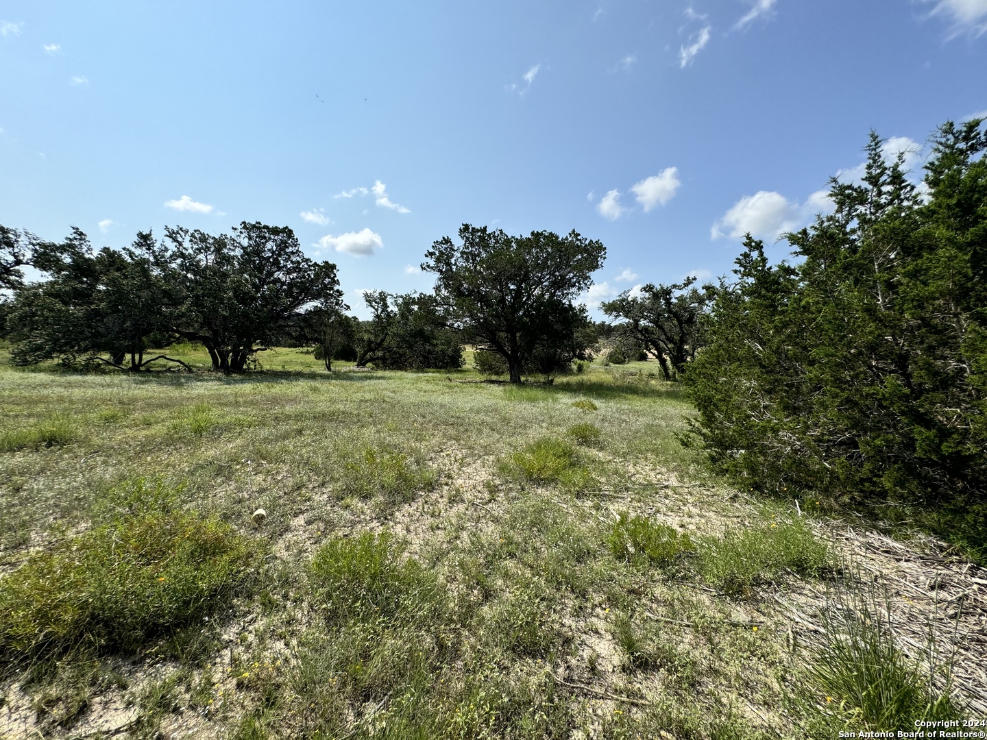 34707 Deeanne Valley Trail Bulverde TX 78163