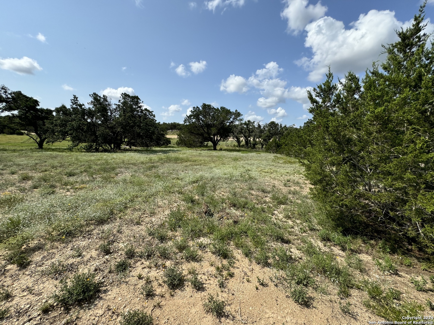 34707 Deeanne Valley Trail Bulverde TX 78163