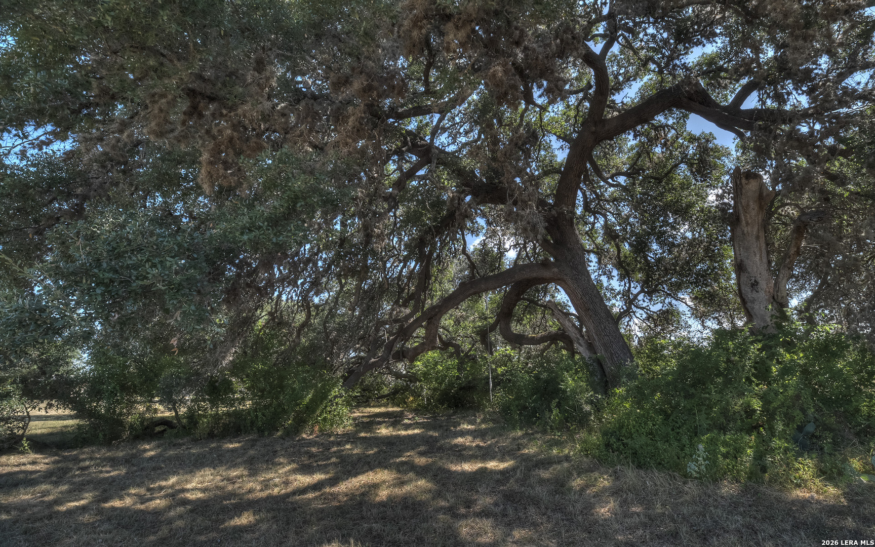 158 River Valley Road Rio Frio TX 78879